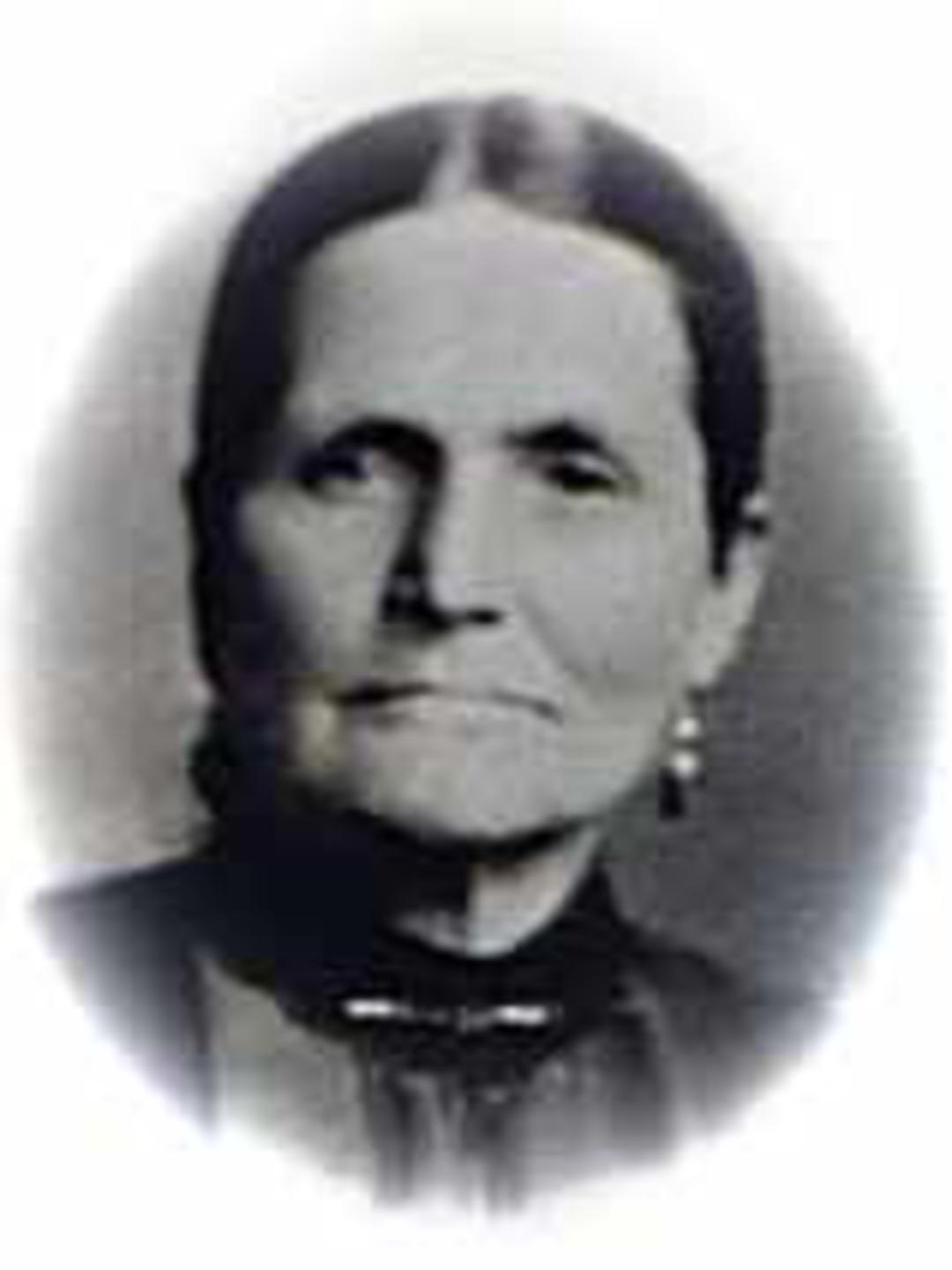 Emma Love Ainge (1841 - 1905) Profile